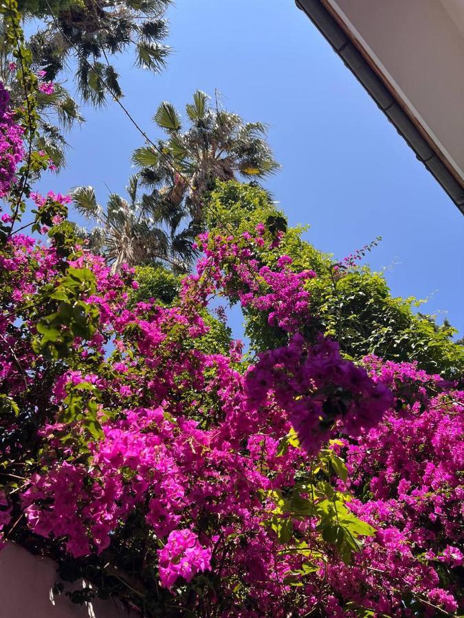 Palma Rosa Hotel Çamyuva Εξωτερικό φωτογραφία