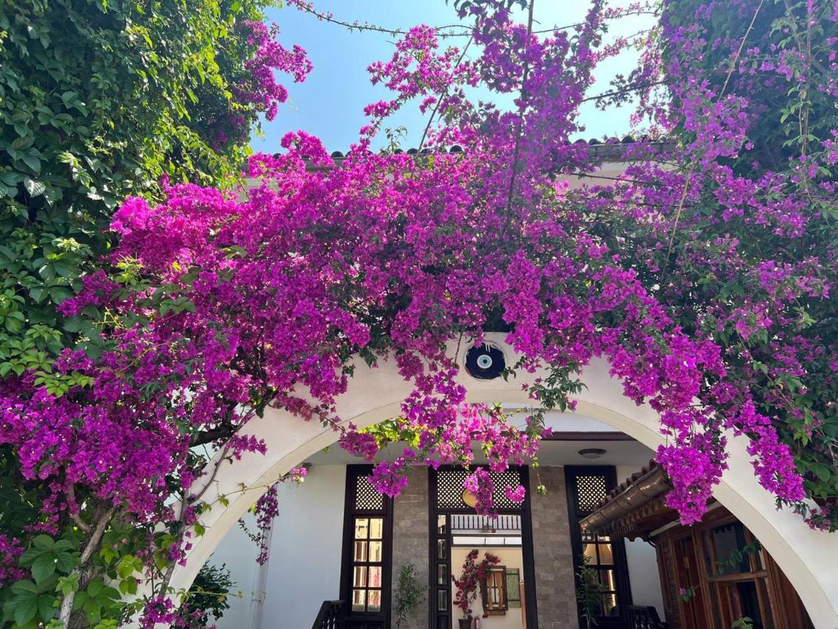 Palma Rosa Hotel Çamyuva Εξωτερικό φωτογραφία